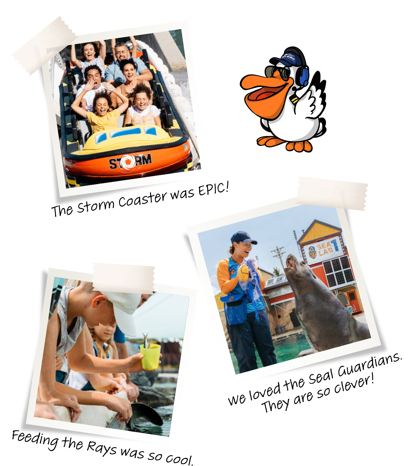 Fun SeaWorld itinerary with thrilling rides, interactive animal feeding, and engaging sea lion shows